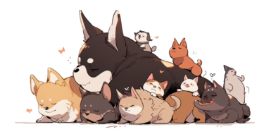 ペットとのコミュニケーション術「愛犬・愛猫との信頼関係を築く方法」